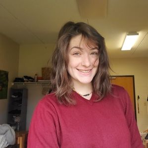 Jos. A. Bank brand v neck sweater